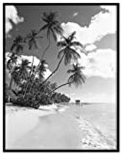 23238 22 X 28 Black Poster Frame