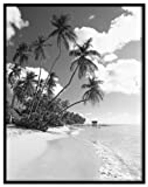 MCS FRAMES 23238 Black Poster Frame 22 X 28