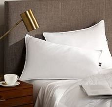 1612651-SP Pillow Standard Queen
