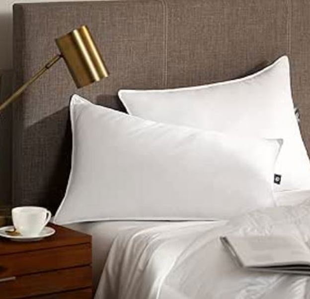 Springs Home 1612651-SP Pillow Standard Queen 20X28
