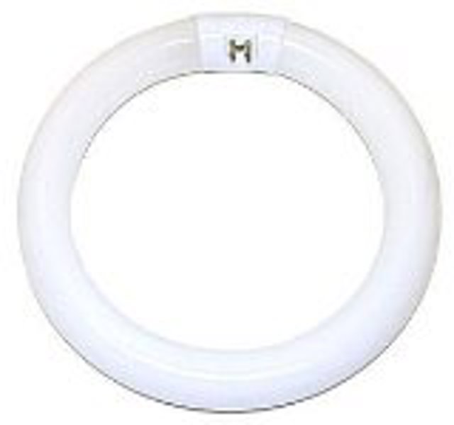 Satco S6501 Circline Fluorescent Bulb 22 Watts 6500K 76 CRI 4-Pin Base