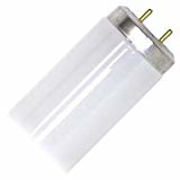 Sylvania Lighting S6566 Fluorescent Tube F20T12/D