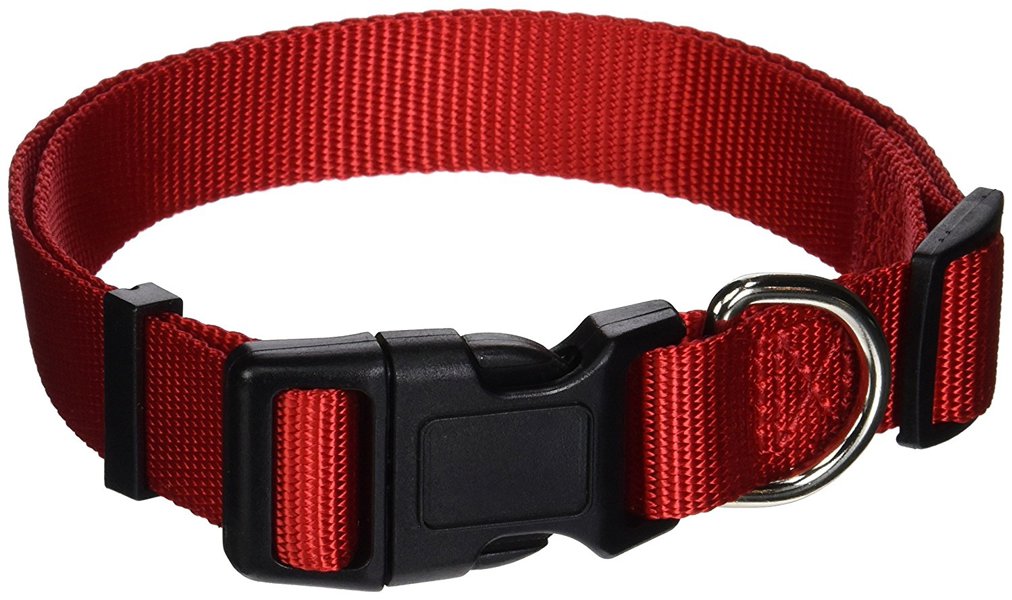 Aspen Pet 6173520 Pet Collar 16 To 26 In Size 1 In Width Red Nylon
