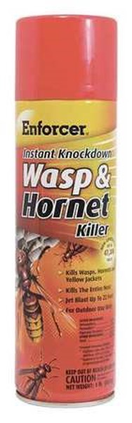 AMREP INC EWHIK16 Wasp and Hornet Killer 16 Oz