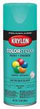 K05576007 12 Oz Satin Spray Paint