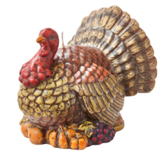 G14284 Candle Tucker Turkey Multi