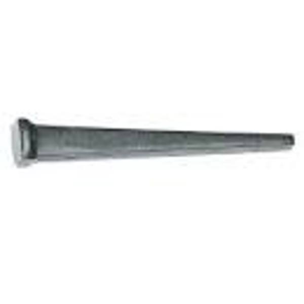 BLUELINX NAILS USCUT 12D-CS Masonry Nail 50 Lbs 3 1/4 In Hard Masonry Cut Nail Tremont