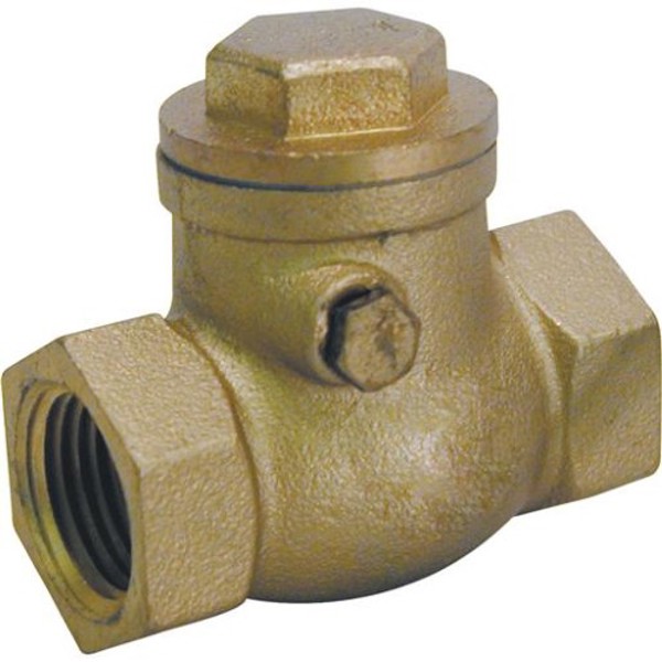 B&K Industries 101-005NL Brass Check Valve 1 In 200 PSI
