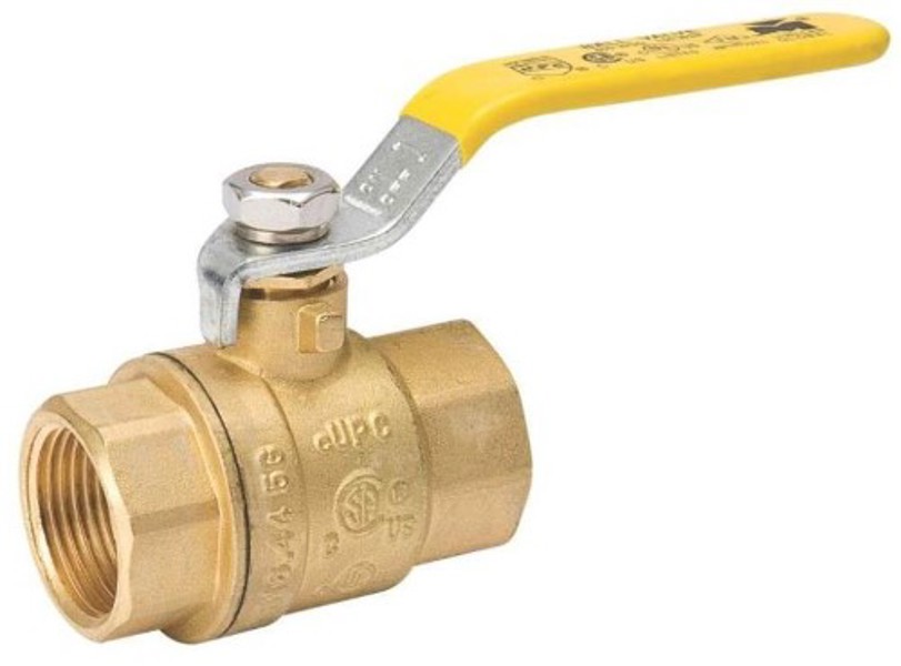 B&K Industries 107-825NL Brass IPS Packing Gland Valve