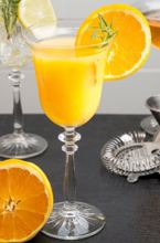 503005 8.5 Oz Cocktail Glass