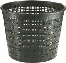 566553 9 In Round Basket Plant