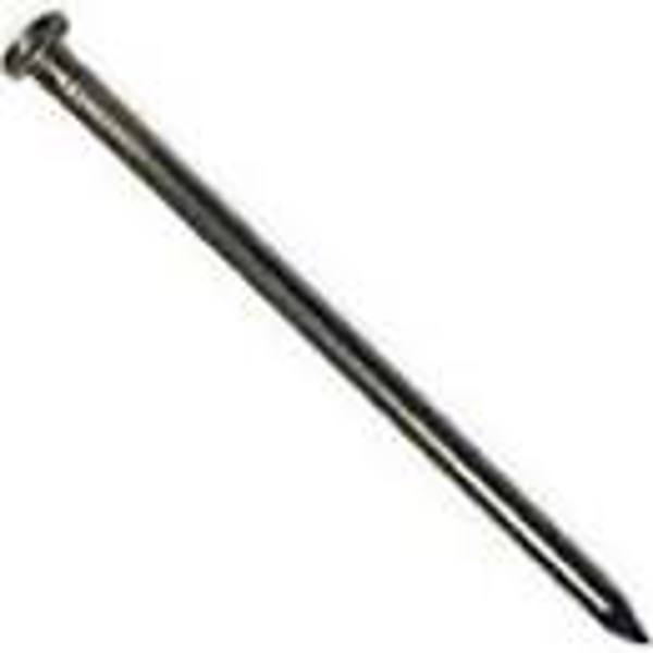 KING TREASURE DISTRIBUTION 0163000006C Common Nail 12D HD Galvanized
