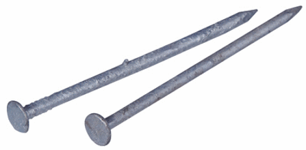 0163000012C Common 20D Nail