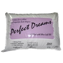 1PD27 Standard Pillow