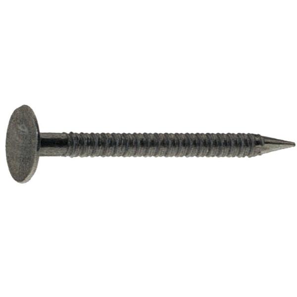 Nail 1-1/4 In Drywall Nail