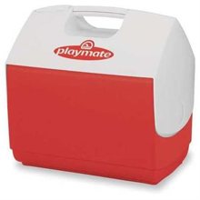 00043362 16 Qt Personal Cooler