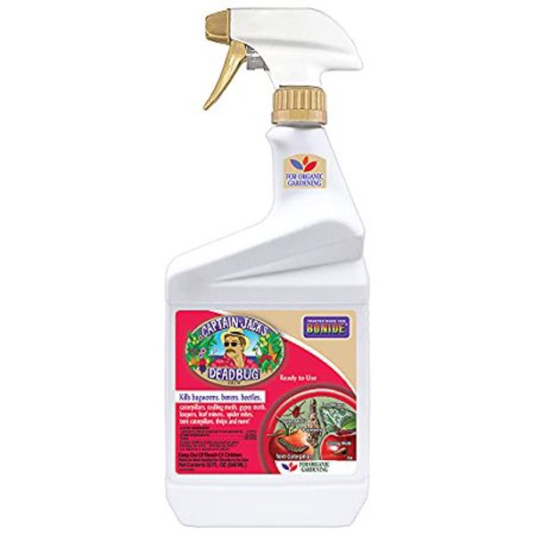 Bonide 250 Deadbug Brew Killer 1 Qt Outdoor Insecticide Effective Against Insects Organic Formula Ready to Use