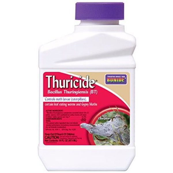 Bonide Products 803 Caterpillar Control Thuricide 1 Pint Concentrate Insecticide