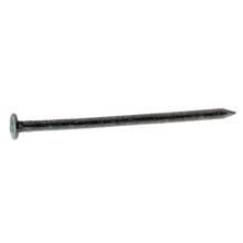 0163000020C Common 6D Galvanized Nail