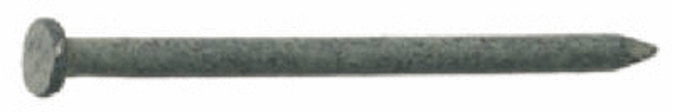 0163000003C Common 10D Galvanized Nail