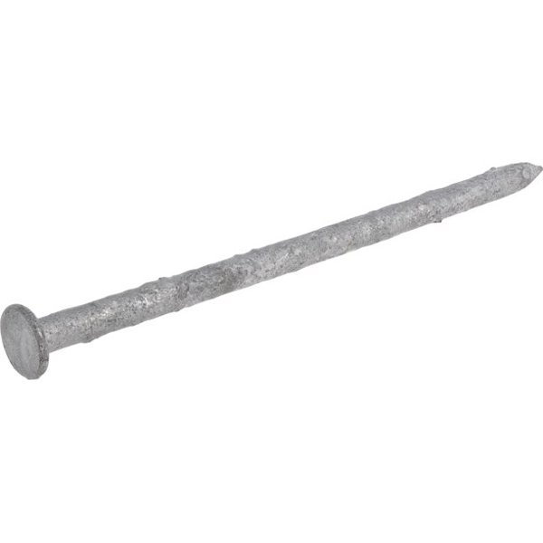 King Treasure Distribution 0163000010C Common Nail 50 Lb 3-1/2 In