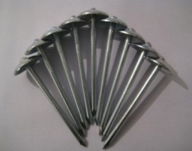 0163000089C 2-1/2 In Nail