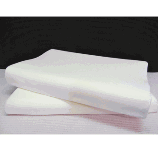 Sleep Innovations FPIL-13881JBW Queen Pillow Support