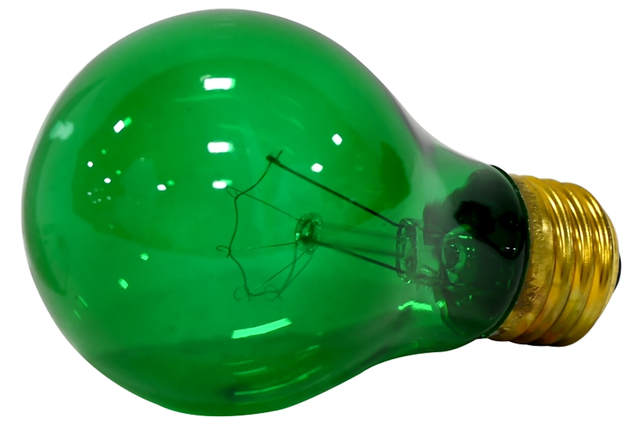 Sylvania Lighting 11714 A19 Light Bulb 25 Watts 2850K Color Temp Green