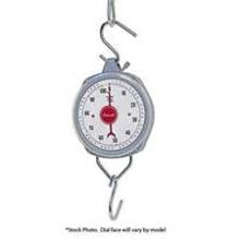 H115 11 Lb Hanging Scale