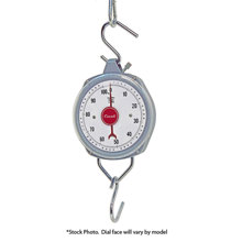 H2210 22 Lb Hanging Scale