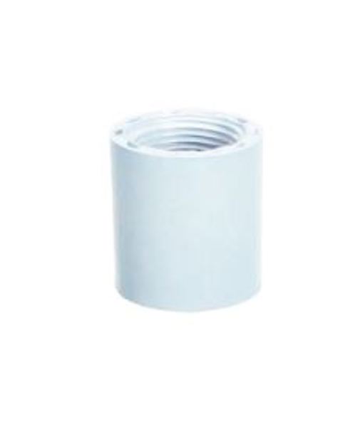 King Treasure Distribution US4011-12 Female 1/2 In PVC Adaptor
