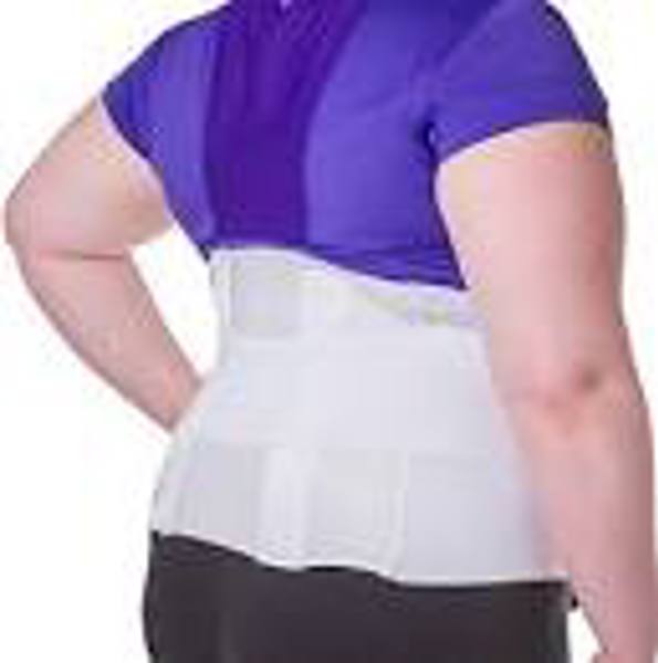 Mutual 50046 2XL Premium Back Support