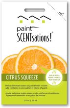 106-01 Paint 1 Oz Citrus Squee