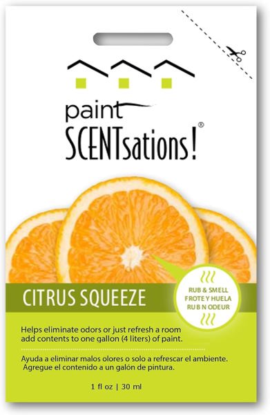 Paint Scentsation 106-01 Paint 1 Oz Citrus Squee