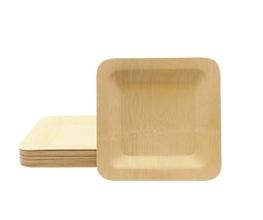 123456 5 In Square Bamboo Plate