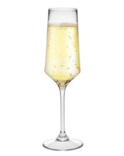 TR-0755 8 Oz Tritan Champagne Flute