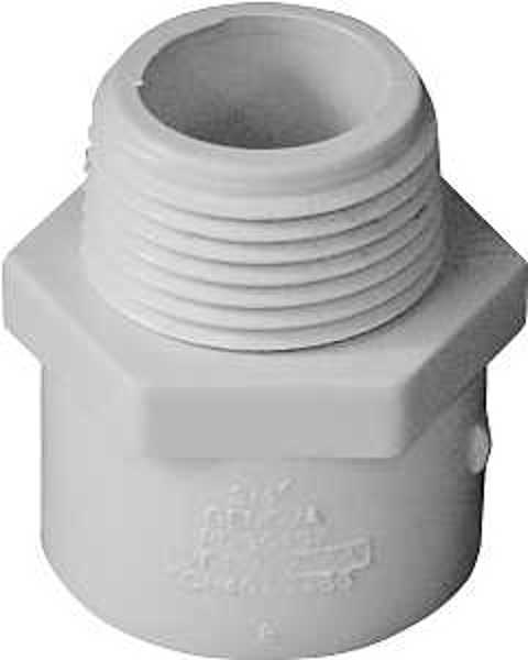 LASCO 435603 Pipe Adapter Male 3/4 In Socket PVC Slip X MIP Sch 40