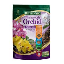 50110 Phalaenopsis Mix 8qt