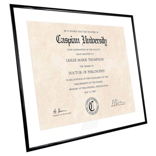 MCS FRAMES 24318 Black Float Certificate Picture Frame 11x14