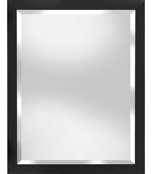 Renin US, LLC Mirror 22X28 Espresso