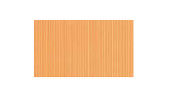 4954616 Vinyl Placemat
