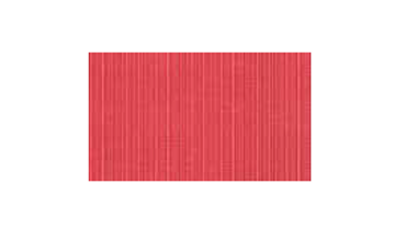 4954612 Red Vinyl Placemat