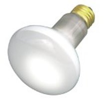S3210 30W Frost Incandescent Light Bulb