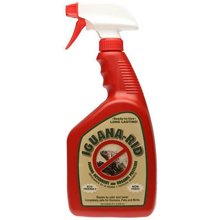 W-32 32 Oz Insecticide