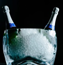 HUS1012-001 Champagne Chiller Luxury Polycarbonate