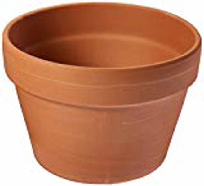 Imports Exclusive 02120 Azalea Pot 8 In Clay