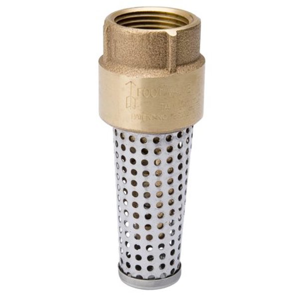 B&K Industries 101-328 Foot Valve 2 In 200 PSI Brass