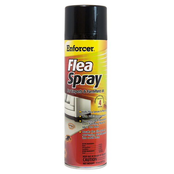 AMREP INC ENFS14 Flea Spray 14 Oz for Carpet and Furniture