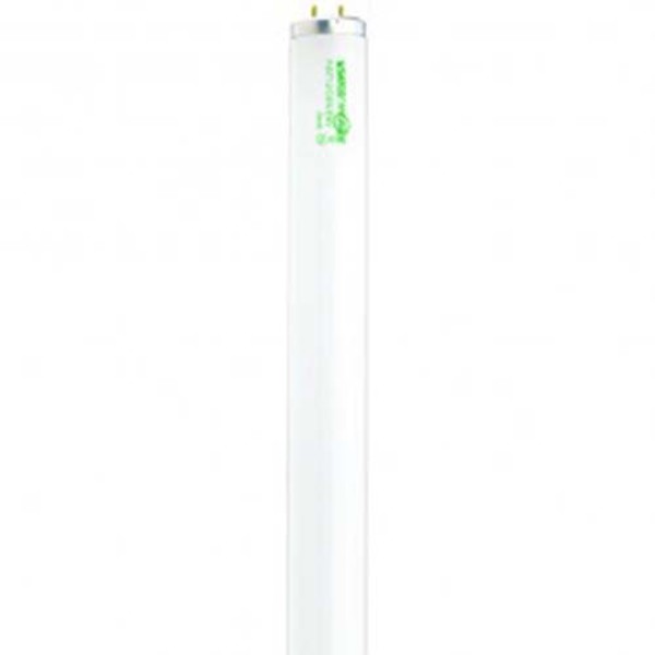 Satco S6638 Fluorescent Light Bulb 40 Watts T12 6500K 90 CRI Medium Bi Pin Base