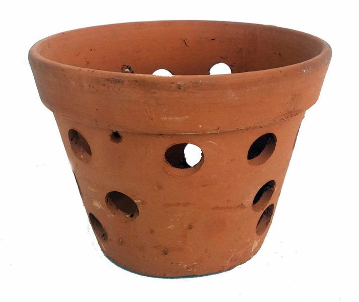 Atlantic Pottery 41080-TCXL Hanging Pot Orchid Xlarge 7 X 5 Inch Terracotta